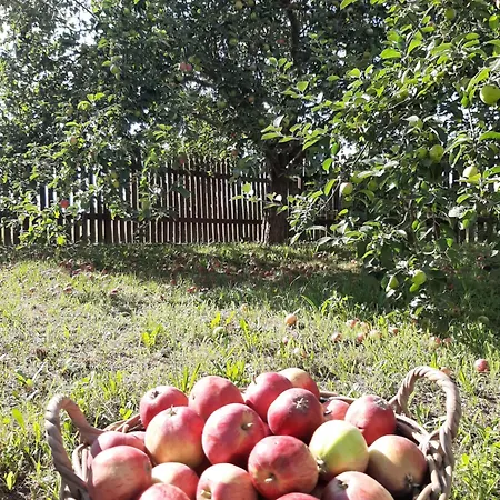 Gosciniec Marcinkowo Landsted *