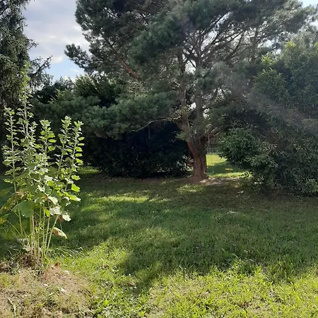 Gosciniec Marcinkowo * Mertinsdorf